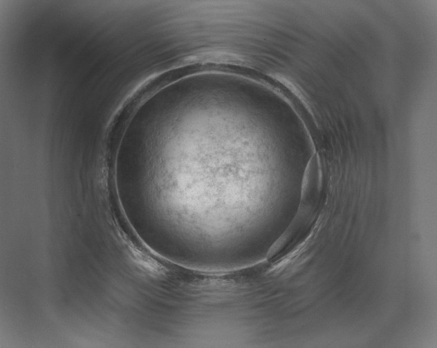 X0000074041115200608211511