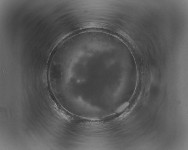 X0000074041121200608211511