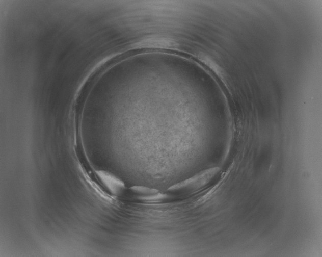 X0000074041123200608211511