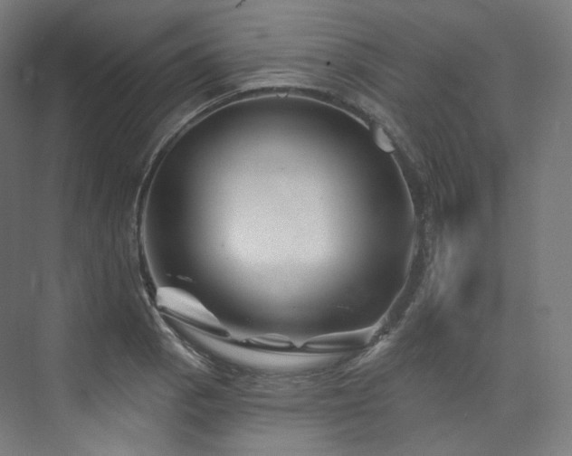 X0000074041129200608211511