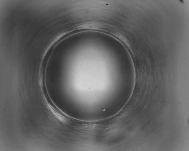 X0000074041131200608211511