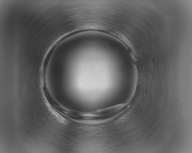 X0000074041132200608211511
