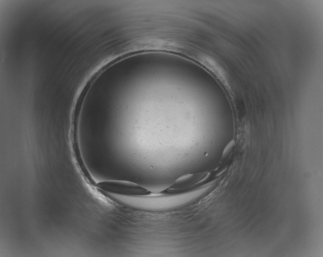 X0000074041136200608211511