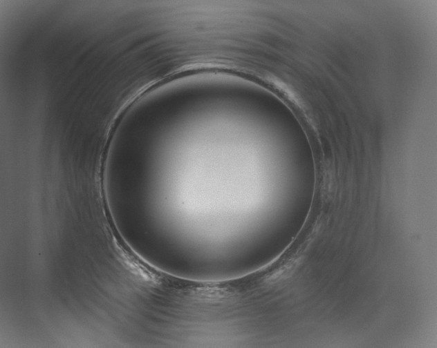 X0000074041137200608211512