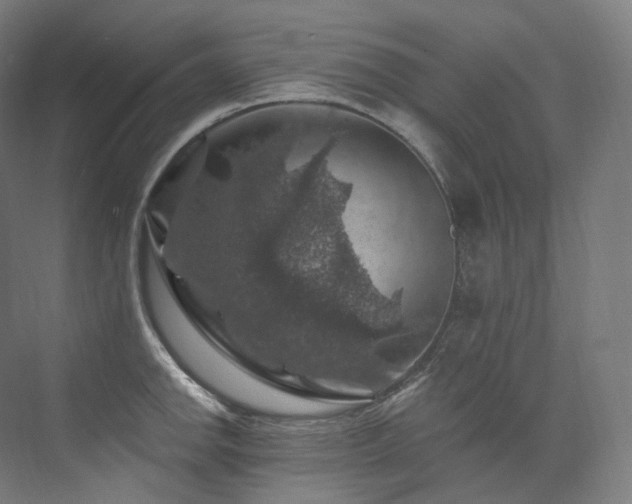X0000074041142200608211512