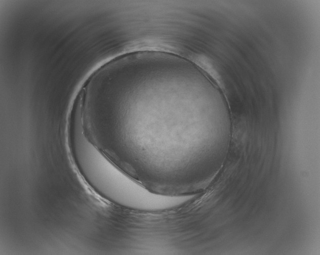X0000074041144200608211512