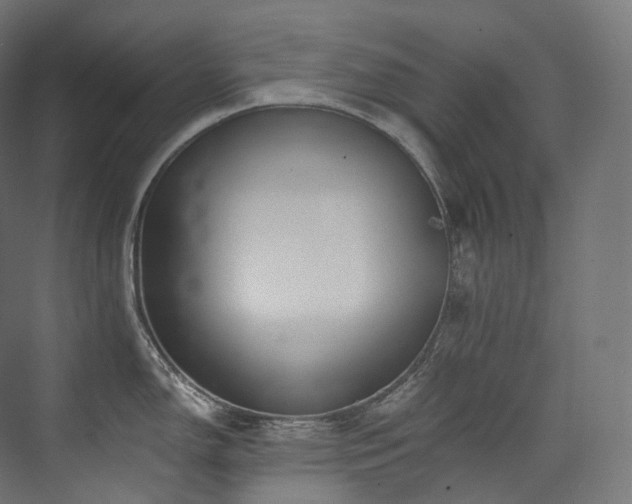 X0000074041150200608211512