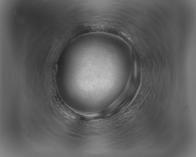 X0000074041153200608211511