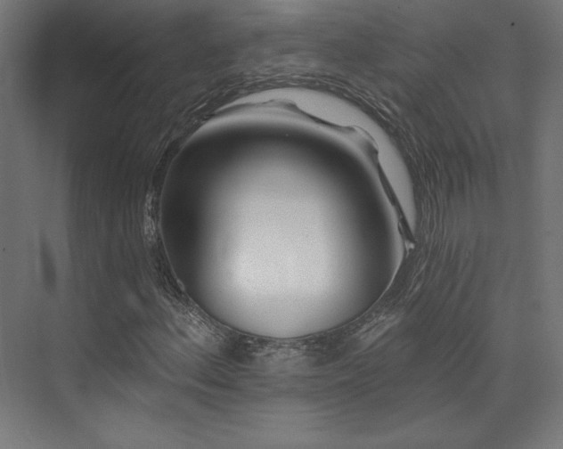 X0000074041156200608211511