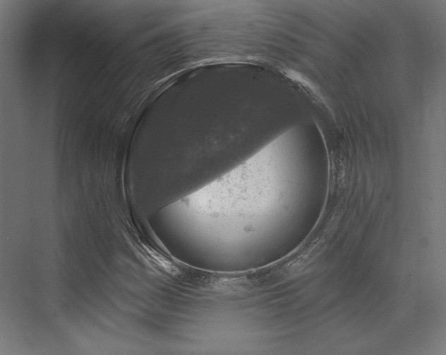 X0000074041161200608211511