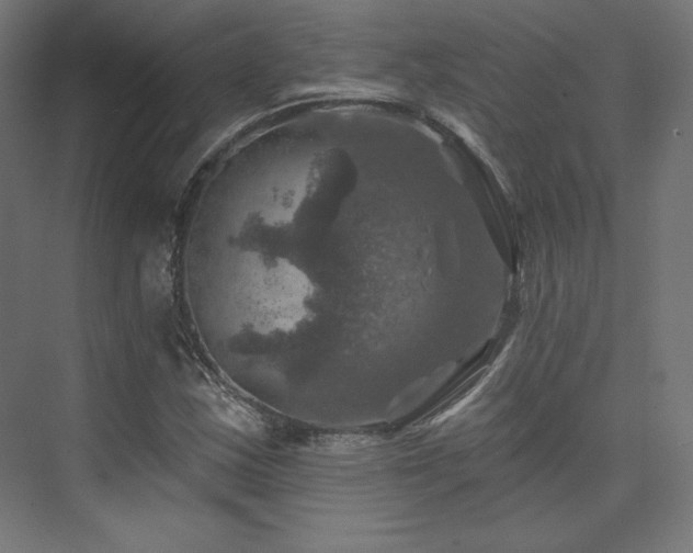 X0000074041163200608211511