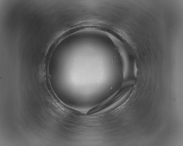 X0000074041164200608211511