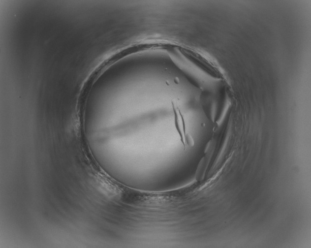 X0000074041167200608211511