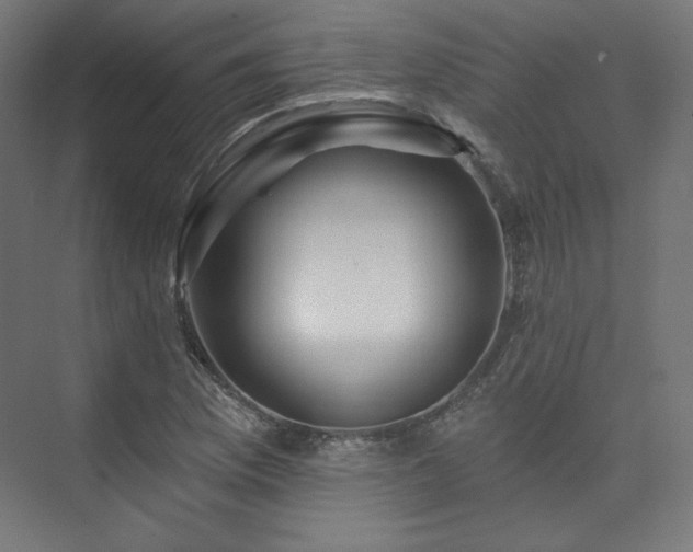 X0000074041169200608211511