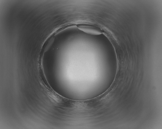 X0000074041170200608211511
