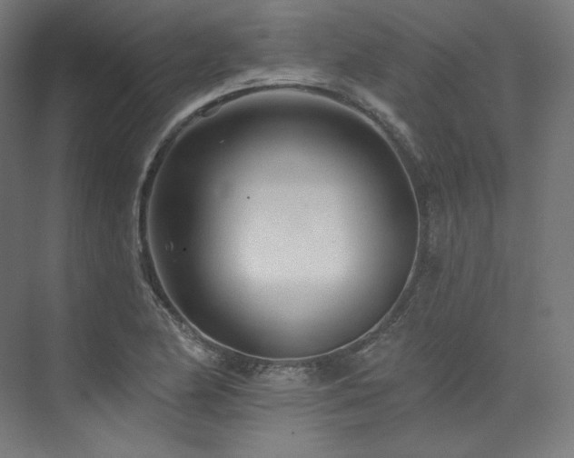 X0000074041174200608211511