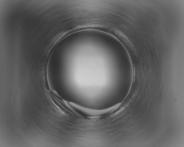 X0000074041177200608211511