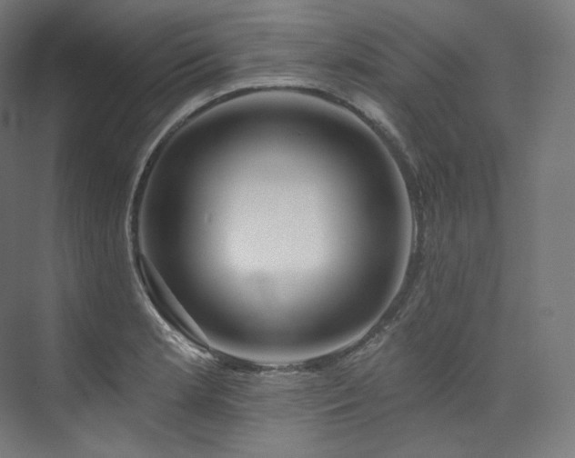 X0000074041181200608211510