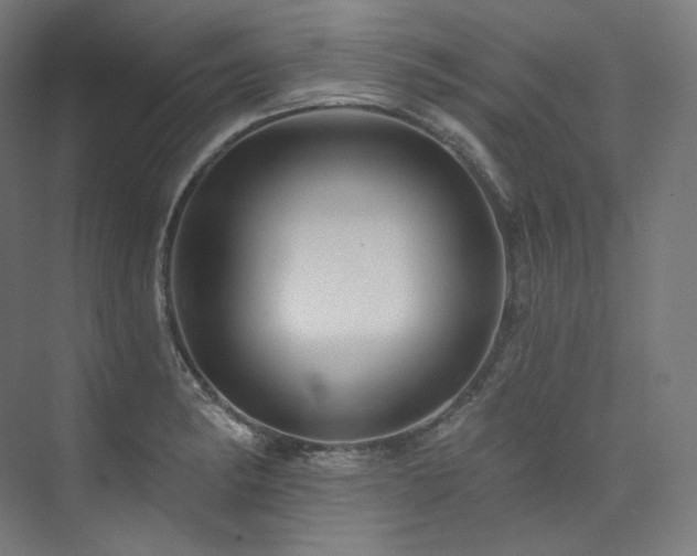 X0000074041182200608211510