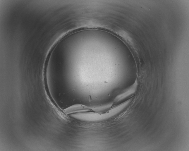 X0000074041183200608211510