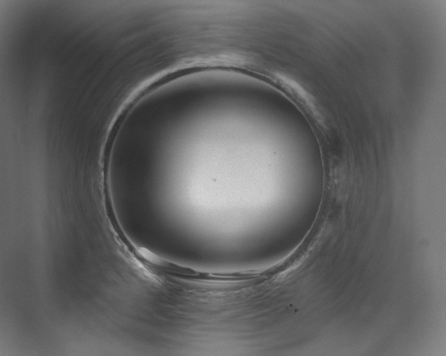 X0000074041184200608211510