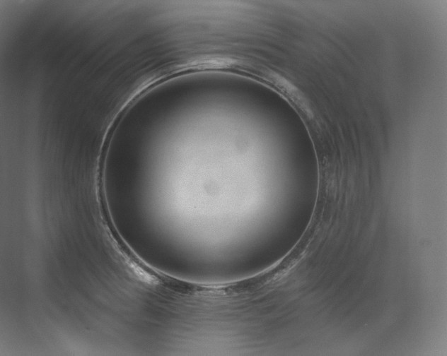 X0000074041186200608211510