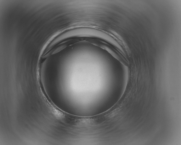 X0000074041188200608211510