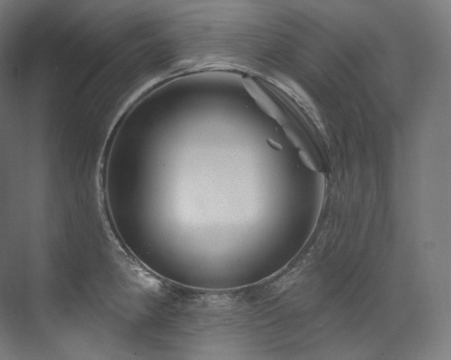 X0000074041190200608211510