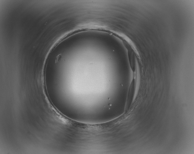 X0000074041191200608211510