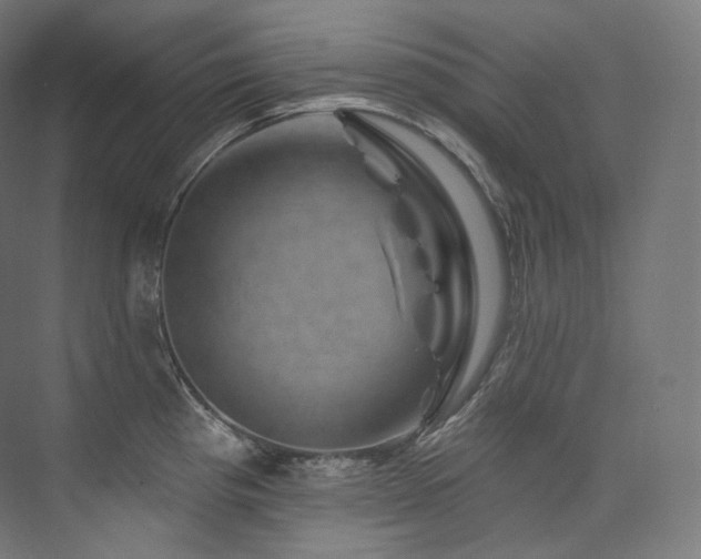 X0000074041193200608211510