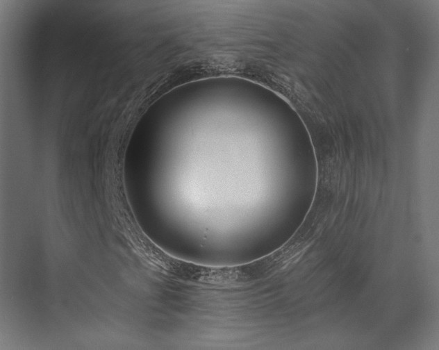 X0000074041201200608211509