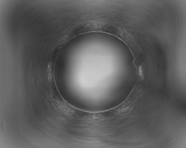 X0000074041203200608211509