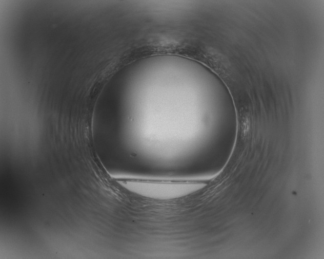 X0000074041204200608211509