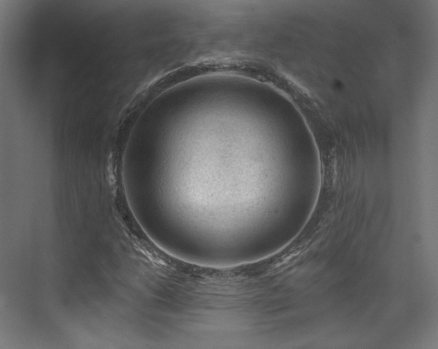 X0000074041206200608211509