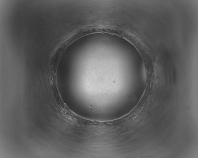 X0000074041207200608211509