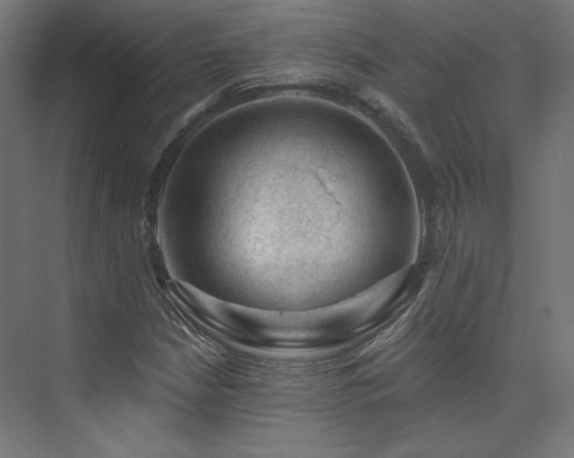 X0000074041210200608211510