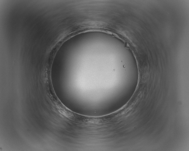 X0000074041211200608211510