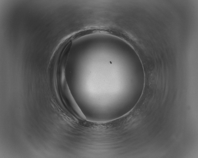 X0000074041214200608211510