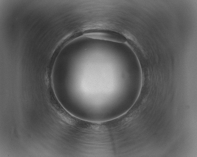 X0000074041218200608211510