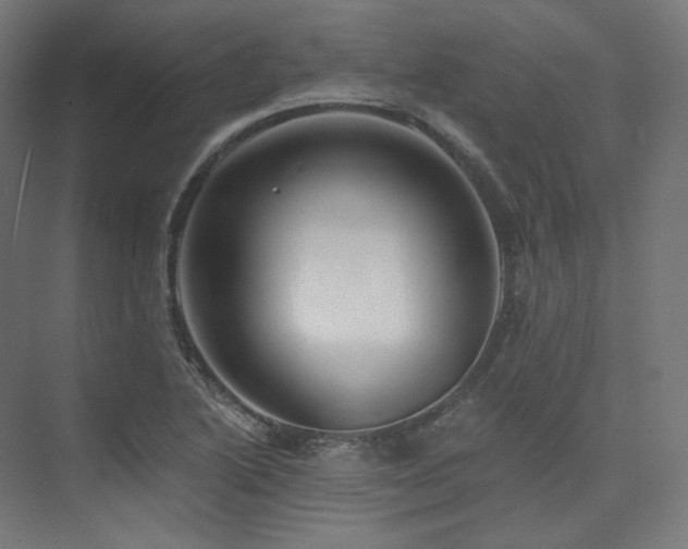 X0000074041222200608211510