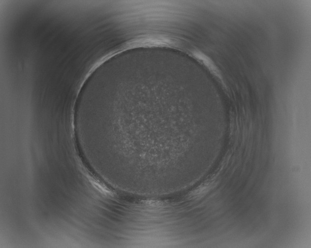 X0000074041226200608211510