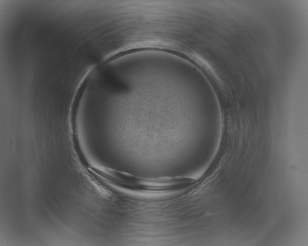 X0000074041230200608211510