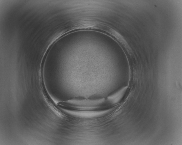 X0000074041234200608211510