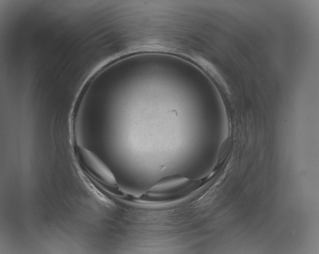 X0000074041238200608211510