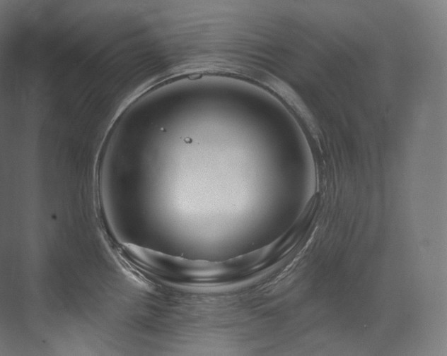 X0000074041242200608211510
