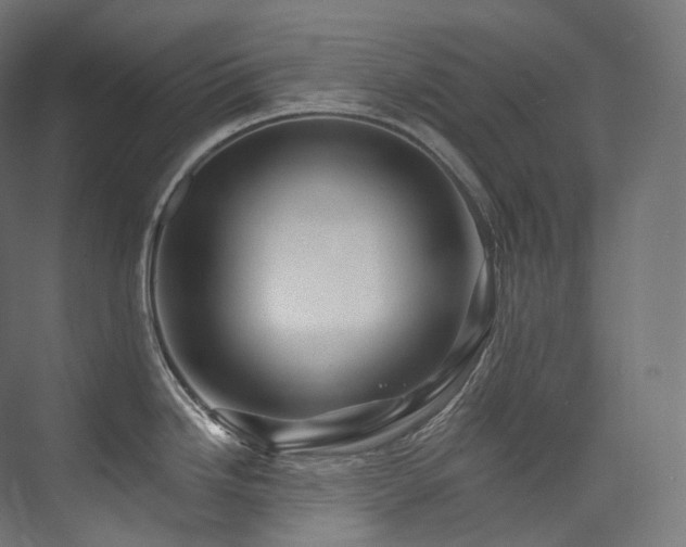 X0000074041246200608211510