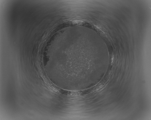 X0000074041249200608211509