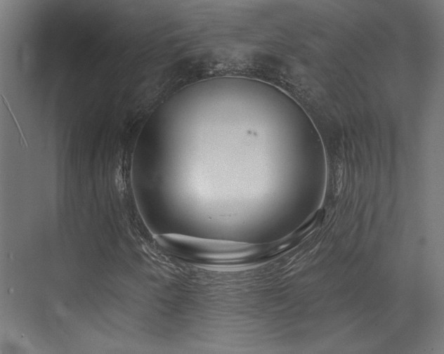 X0000074041250200608211509