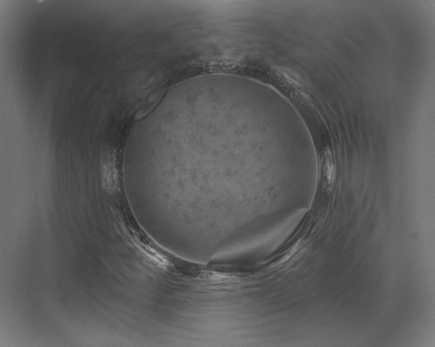 X0000074041252200608211509