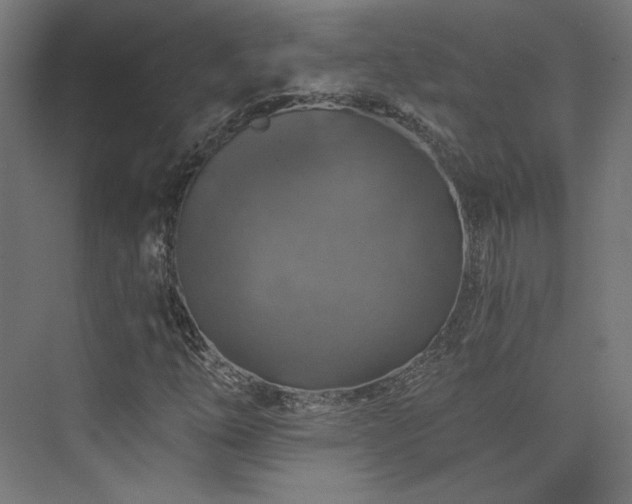 X0000074041254200608211509